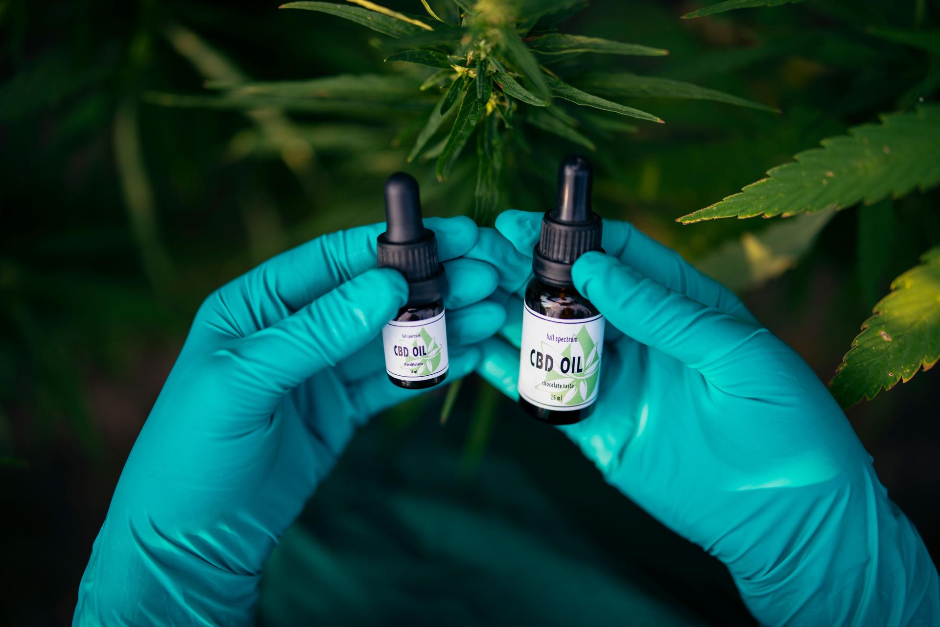 CBD oil, Cannabis oil, medical product, medical marijuana.